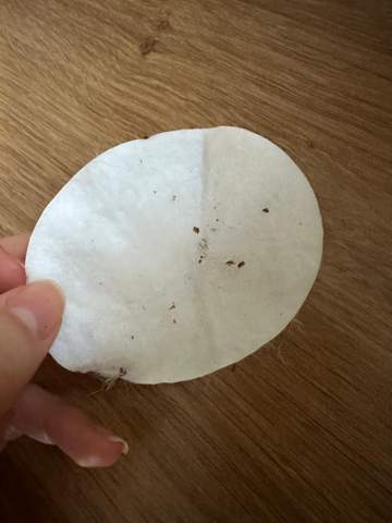 Frontline Ungezieferspray 250 Ml Für Hund Oder Katze In Der Apotheke - Foto 5