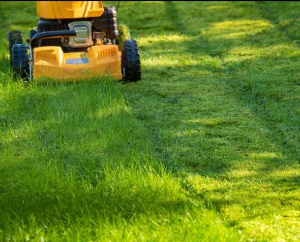 Mögt ihr den Geruch von frisch gemähtem Rasen?