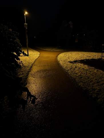 Bild zum Beitrag