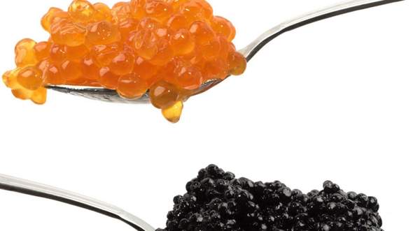 Mögt ihr Kaviar (Fisch-Eier)?