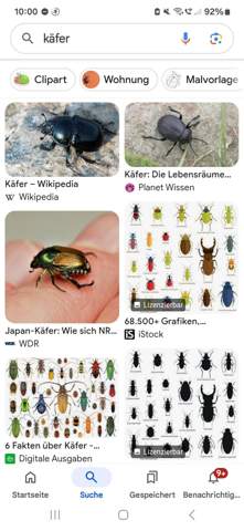 Bild zum Beitrag