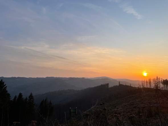 Bild zum Beitrag