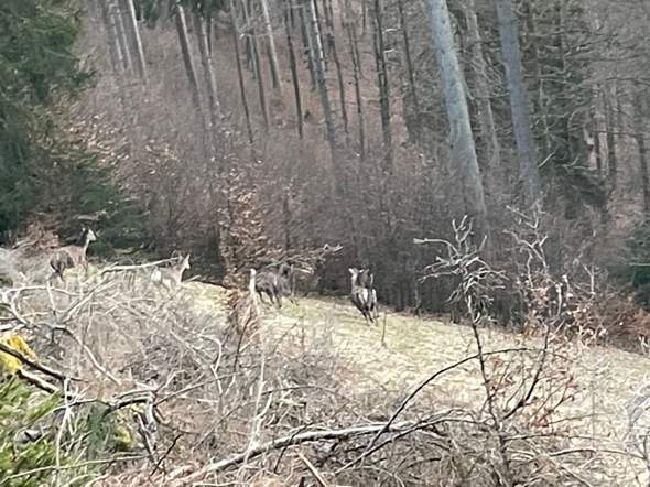 Bild zum Beitrag