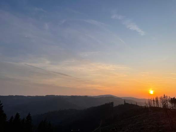 Bild zum Beitrag