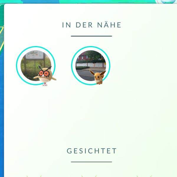 Mogelbaum in pokemon Go selten? Mogelbaum in pokemon Go selten?