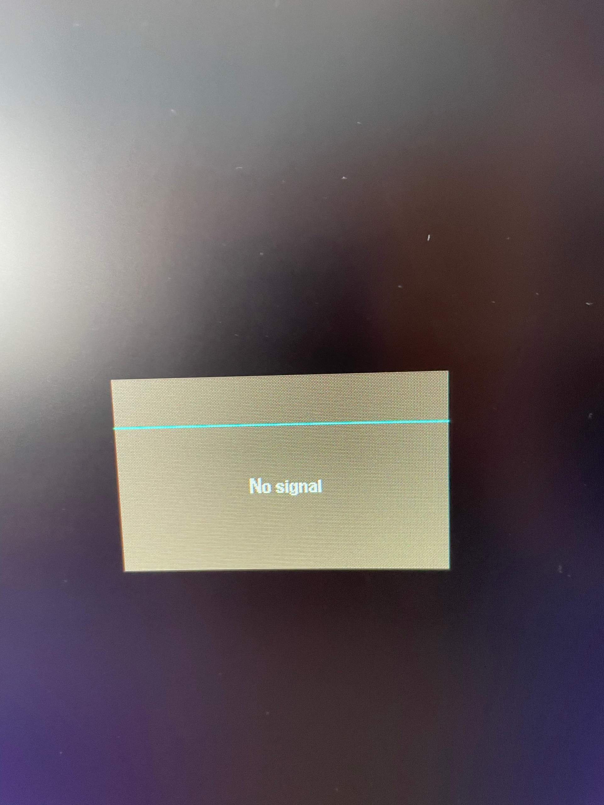 Monitor: Kein Signal? (Computer, Technik, PC)