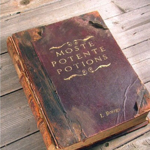 Das hier - (Buch, Harry Potter, Halbblutprinz)