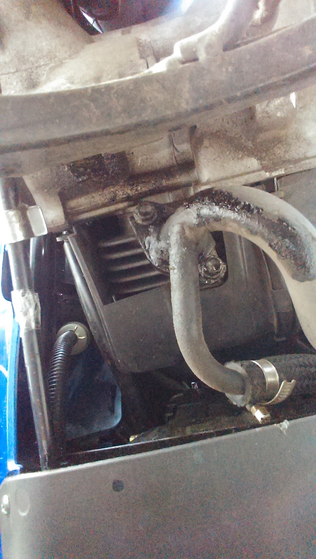 Motorroller verliert Öl aus dem Krümmer und Auspuff (siehe Bilder) (Motorrad, Roller, Motor)