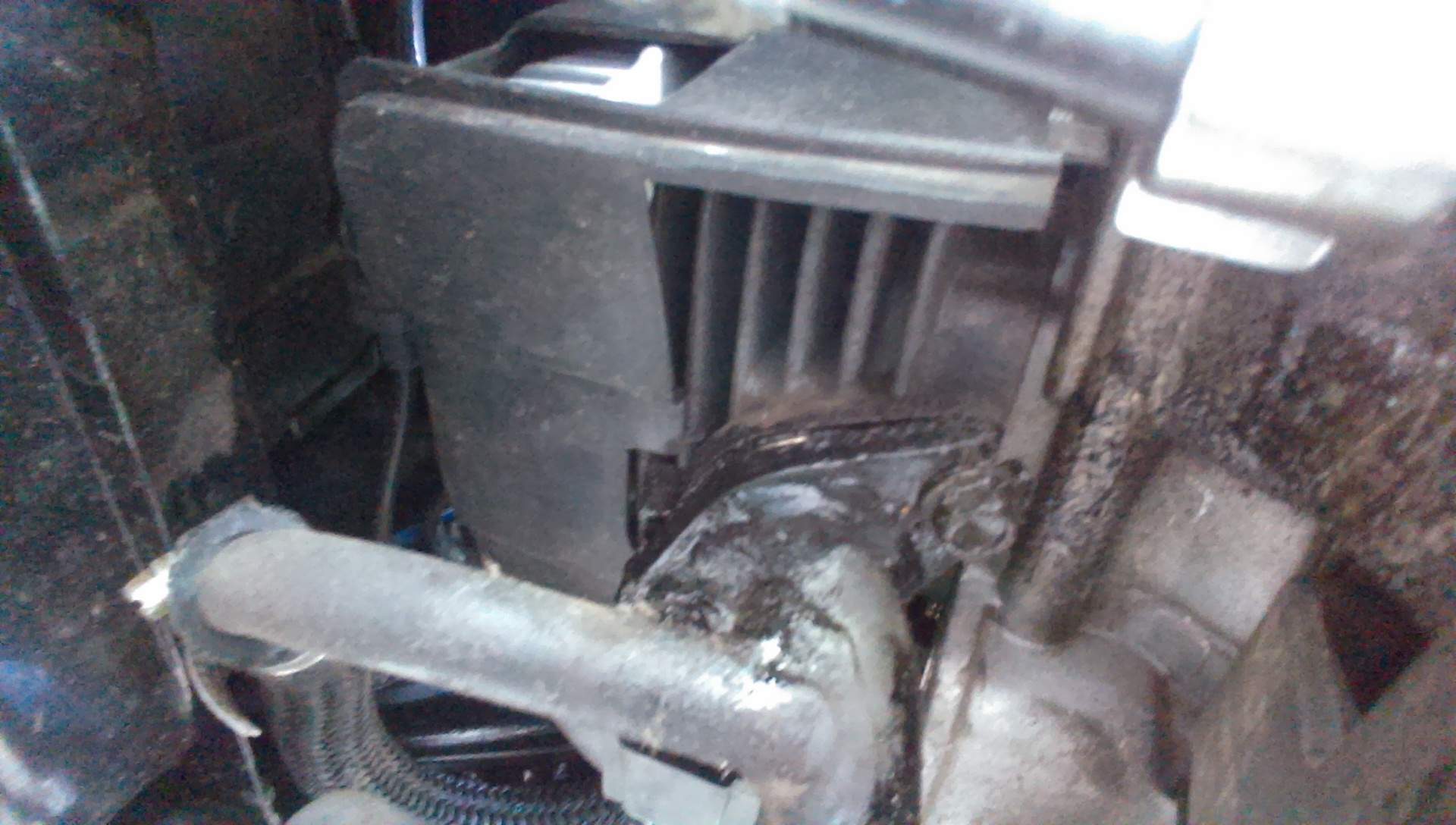 Motorroller verliert Öl aus dem Krümmer und Auspuff (siehe Bilder) (Motorrad, Motor, Roller)