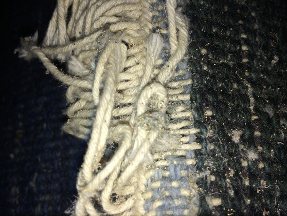 Motten Im Teppich Putzen Schadlinge Teppichreinigung