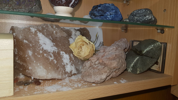 Motteneier auf Stein? (Steine, Motten)