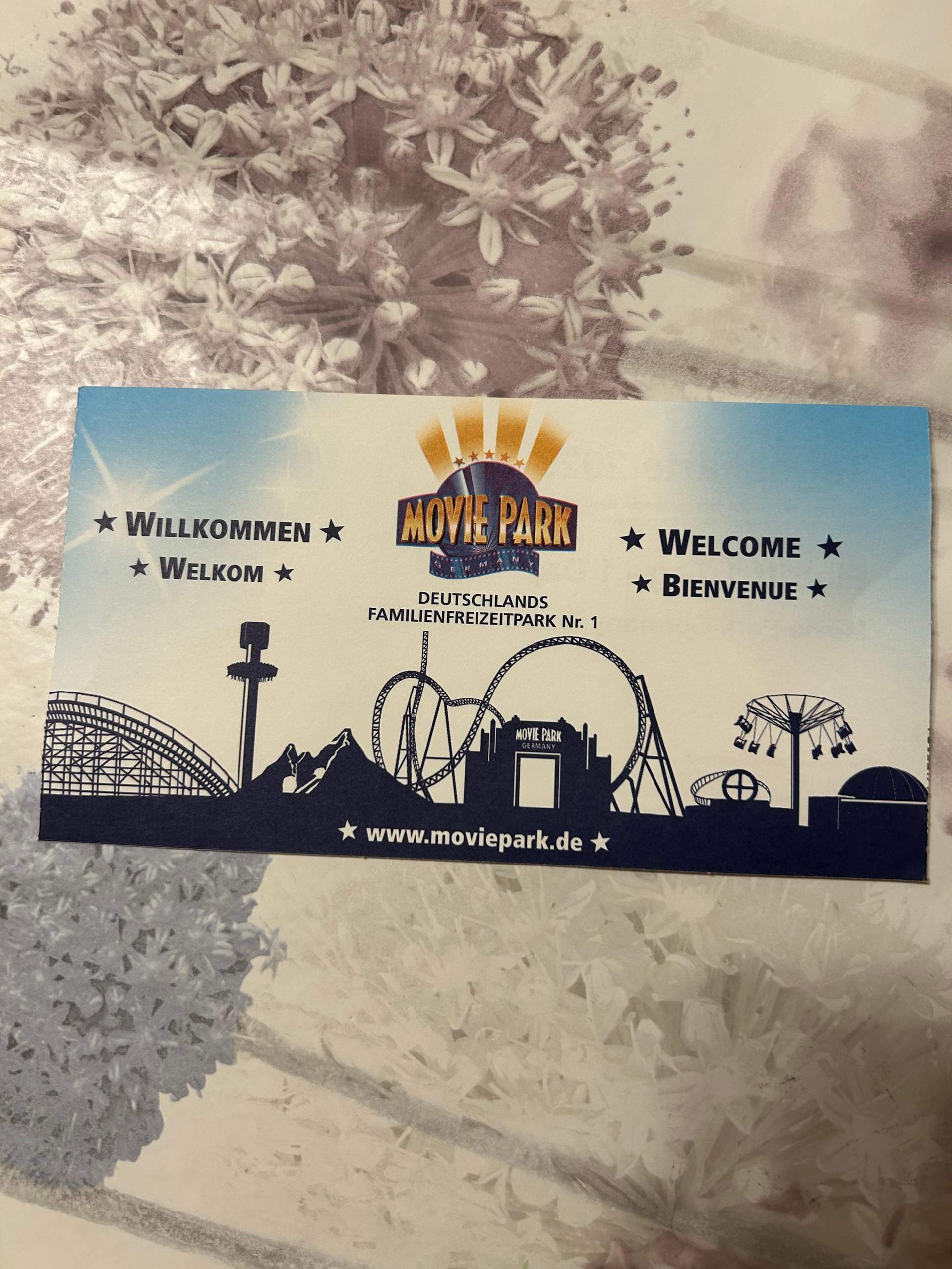 Wie Viel Kostet Ein Eintrittskarte In Movie Park Germany www.gutefrage.net