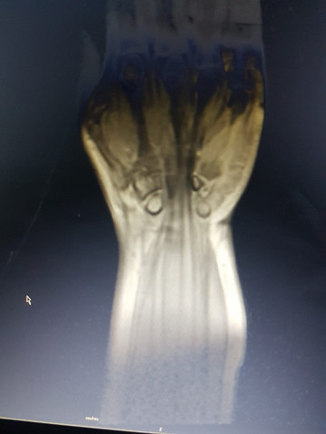 Auffällig Auffällig