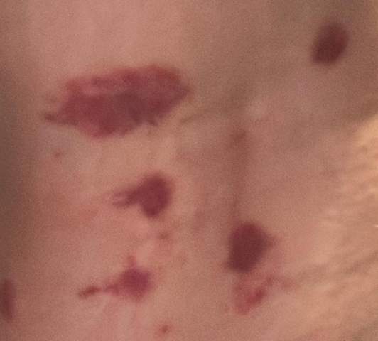 Bild zum Beitrag