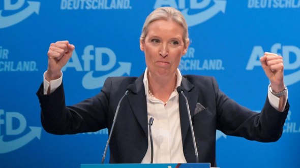 Bild zum Beitrag