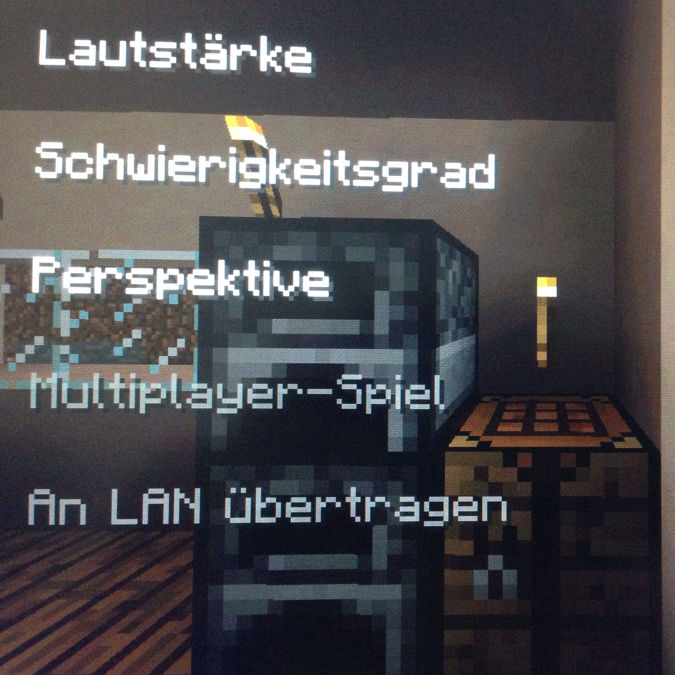 Multiplayer bei Minecraft mit Samsungtablet und iPad? (spielen)