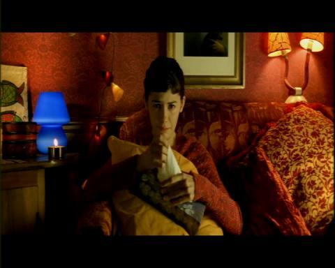 Musik In Die Fabelhafte Welt Der Amelie Poulain Film Filmmusik
