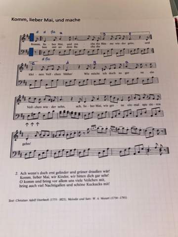 - (Schule, Musik, Noten)