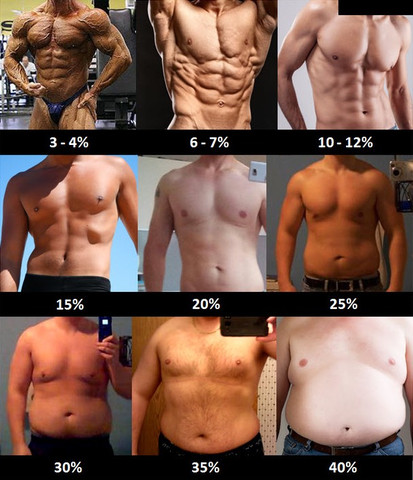 Bei mir etwa 20-22% - (Fitness, Diät, Muskelaufbau)