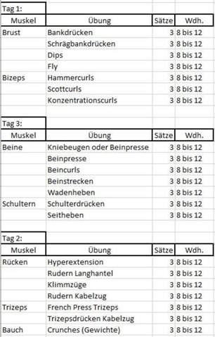 Muskelaufbau: Passt dieser Trainingsplan? (Sport, Sport und Fitness ...