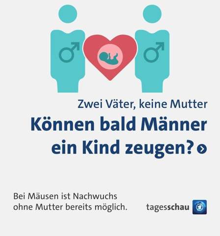 Bild zum Beitrag