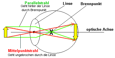 Muss Der Brennpunkt Nicht Auf Der Netzhaut Liegen Schule Physik Biologie Muss Der Brennpunkt Nicht Auf Der Netzhaut Liegen Schule Physik Biologie
