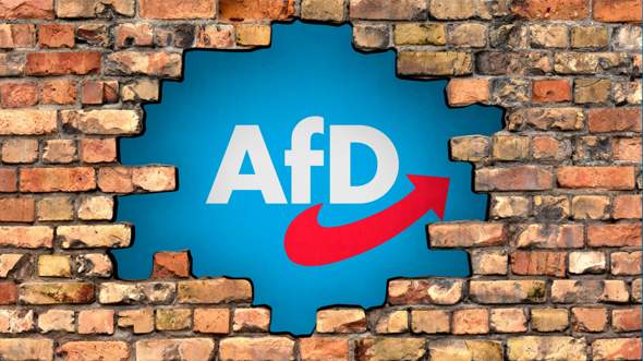 Bild zum Beitrag