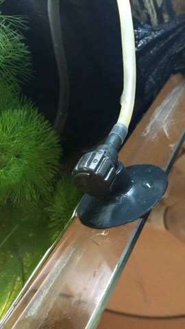 Filteröffnung kein plaan - (Wasser, Fische, Aquarium)