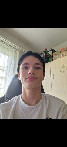 Bild zum Beitrag