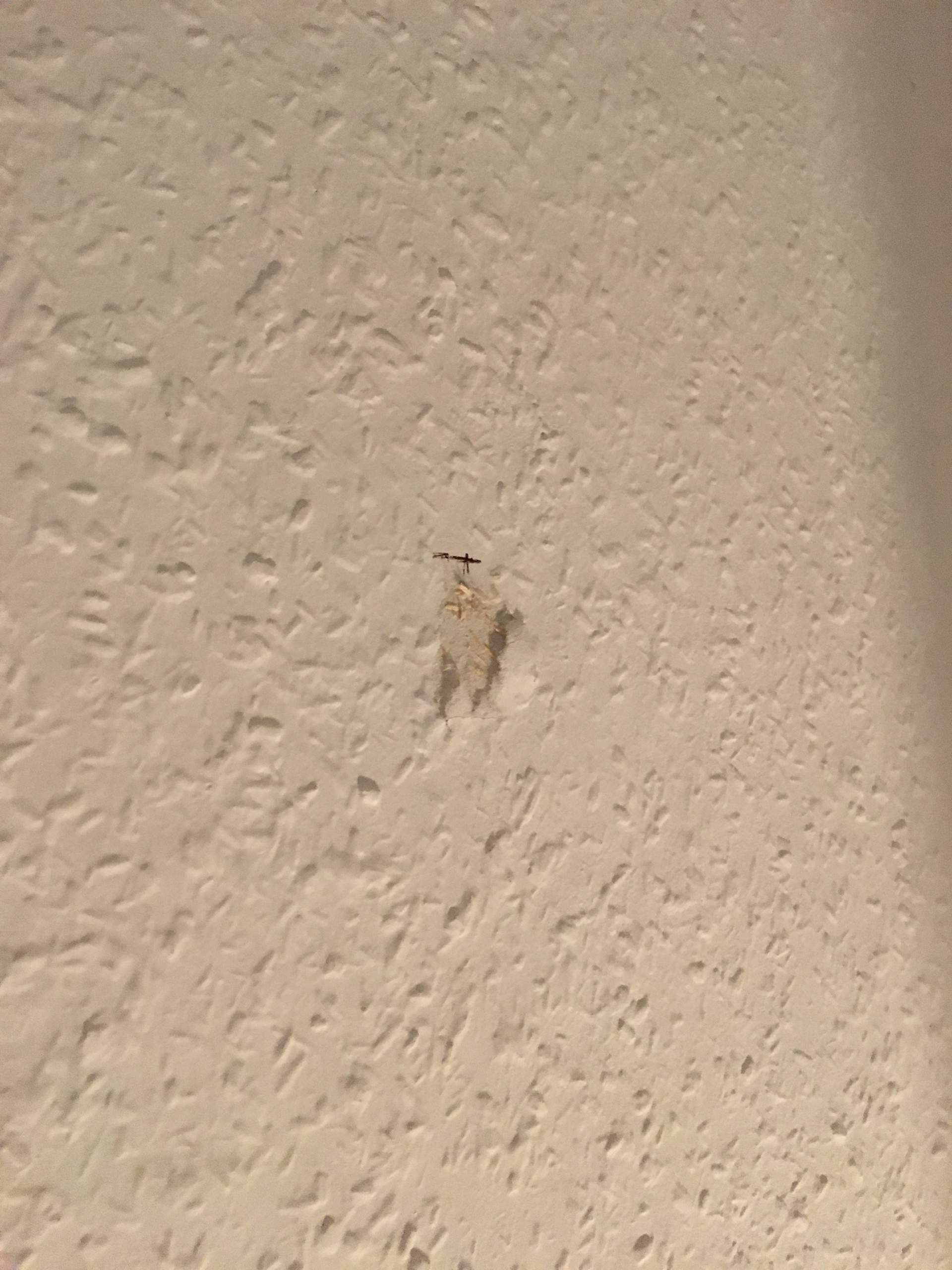 Muss ich neu tapezieren bei Auszug? (Mietrecht, Tapete)