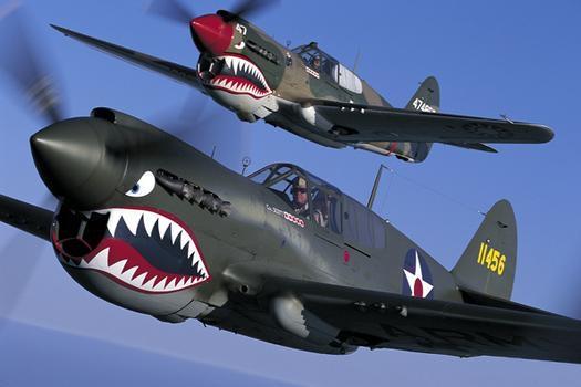 Mustang Oder Curtiss Flugzeug 2 Weltkrieg