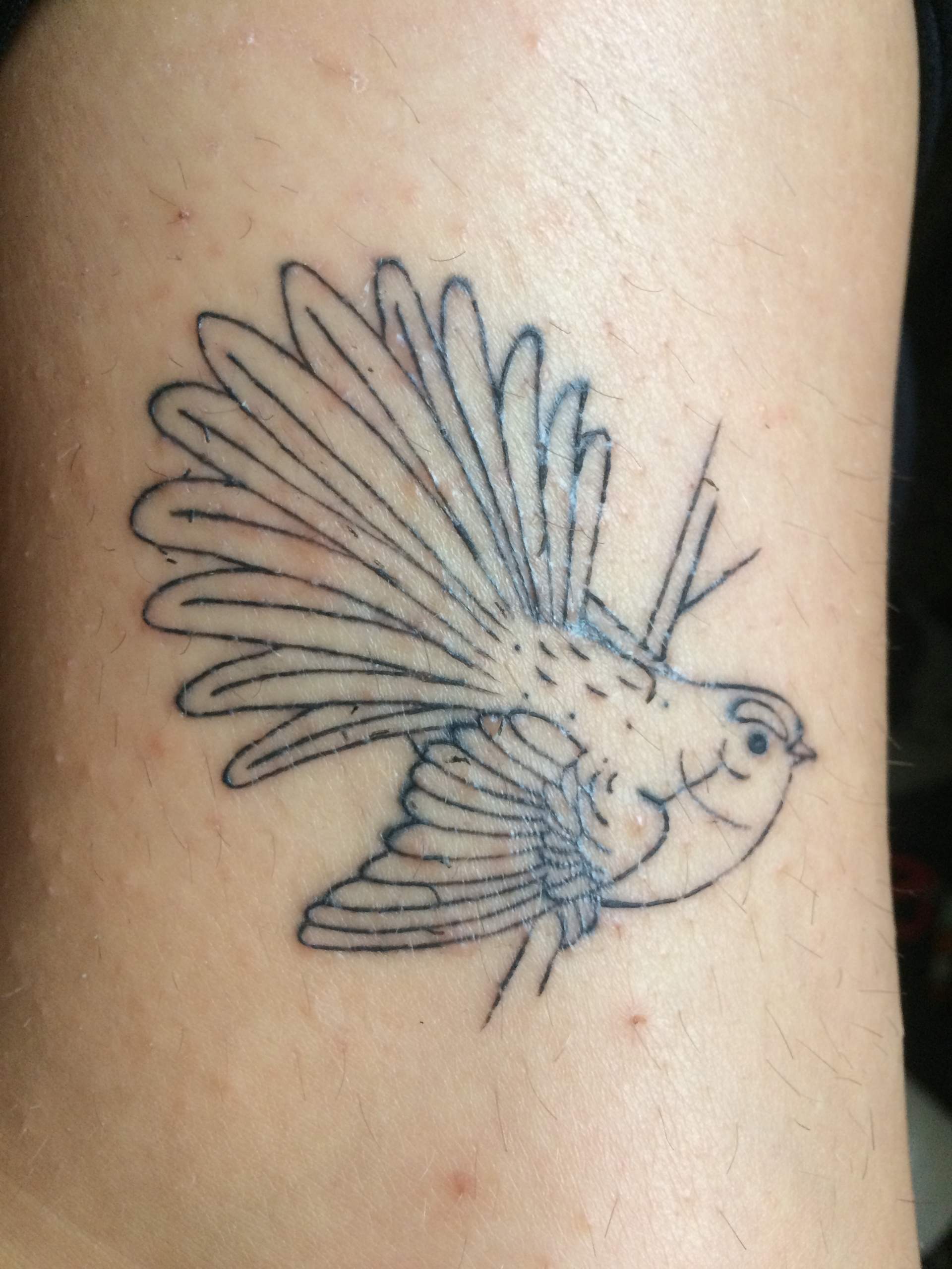 Nach 2 wochen Tattoo entzündet? (Tattoopflege, Heilungsprozess)