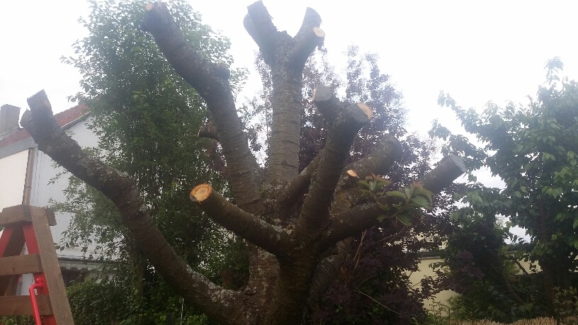 Themen rätsel Themen rätsel