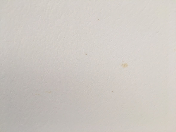 Nach Streichen braune Punkte und Flecken an der Decke. Was ist das