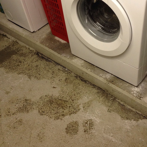 lügen) waschmaschine nass? macht (Beleidigung, Nachbar