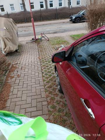 Bild zum Beitrag