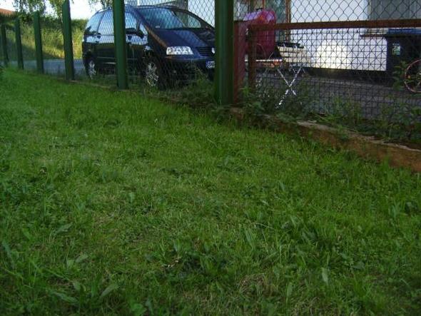 Nachbarn Grillen Direkt Vor Unserem Fenster Was Kann Ich Tun