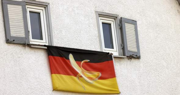 Bild zum Beitrag
