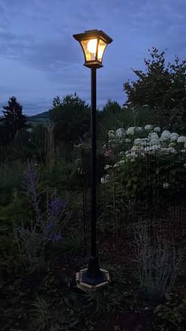 Bild zum Beitrag