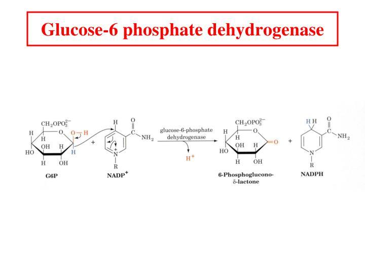 NADP+ und NADPH + H+ / NAD+ und NADH + H+ - Frage zur Oxidation/Reduktion?