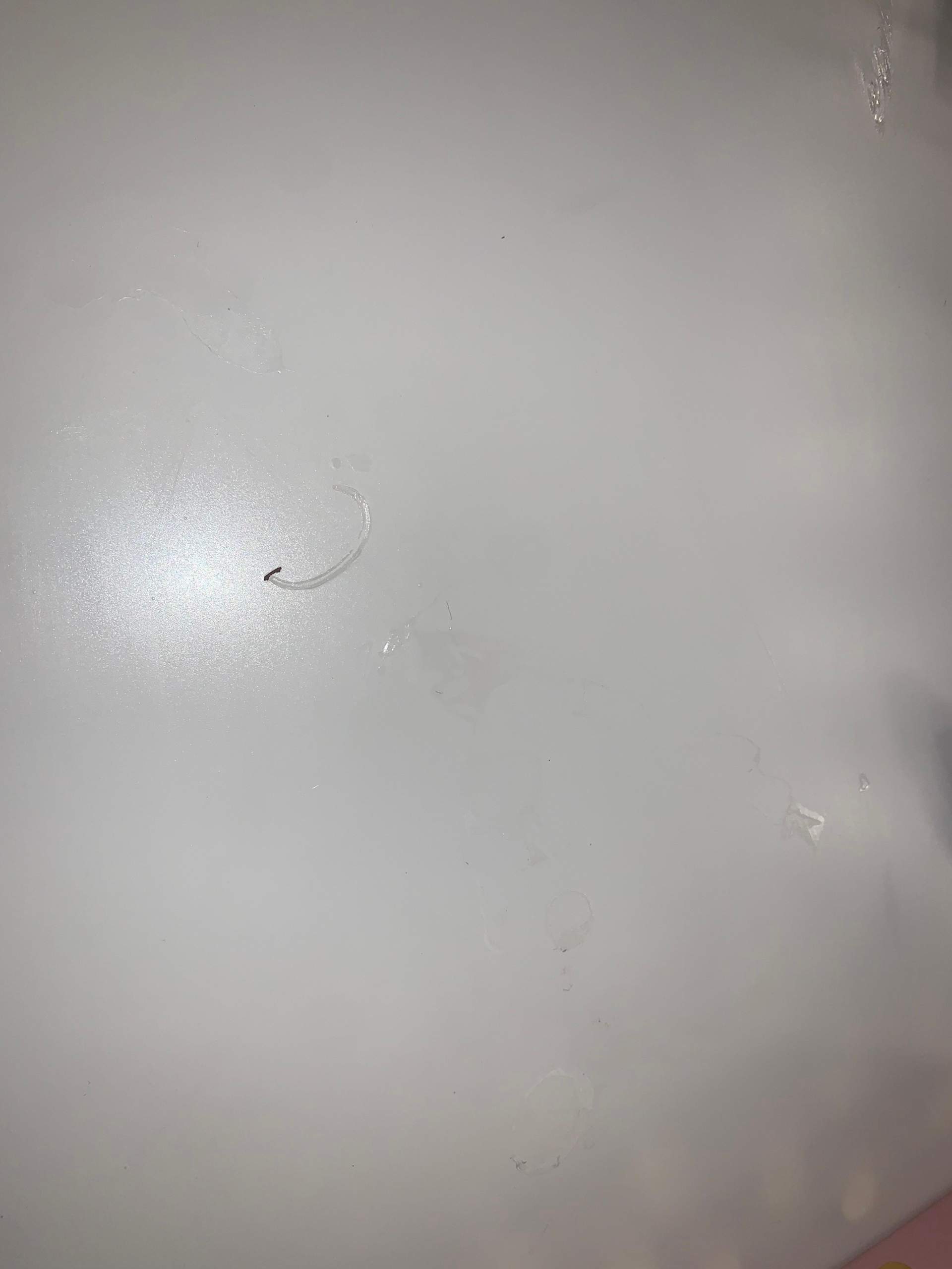 Nagelkleber von tisch entfernen? (Mädchen, Frauen, Kosmetik)