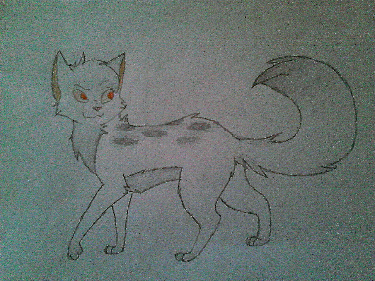 Name Fur Warrior Cats Katze Gesucht Kann Mir Jemand Helfen