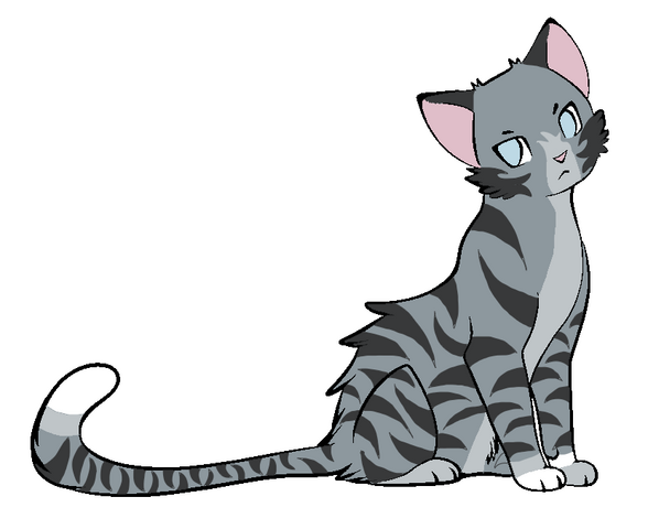 - (Warrior Cats, Warrior Cats Namen)