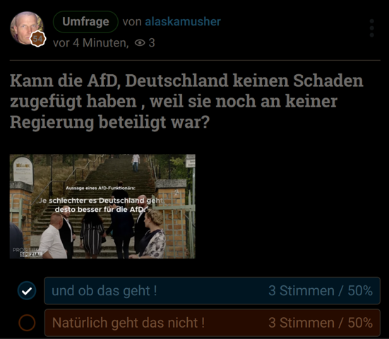 Bild zum Beitrag