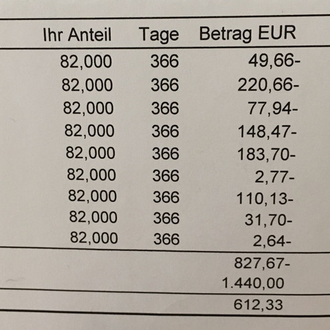 Betrag in Euro  - (Guthaben, Nebenkostenabrechnung, Nachzahlung)