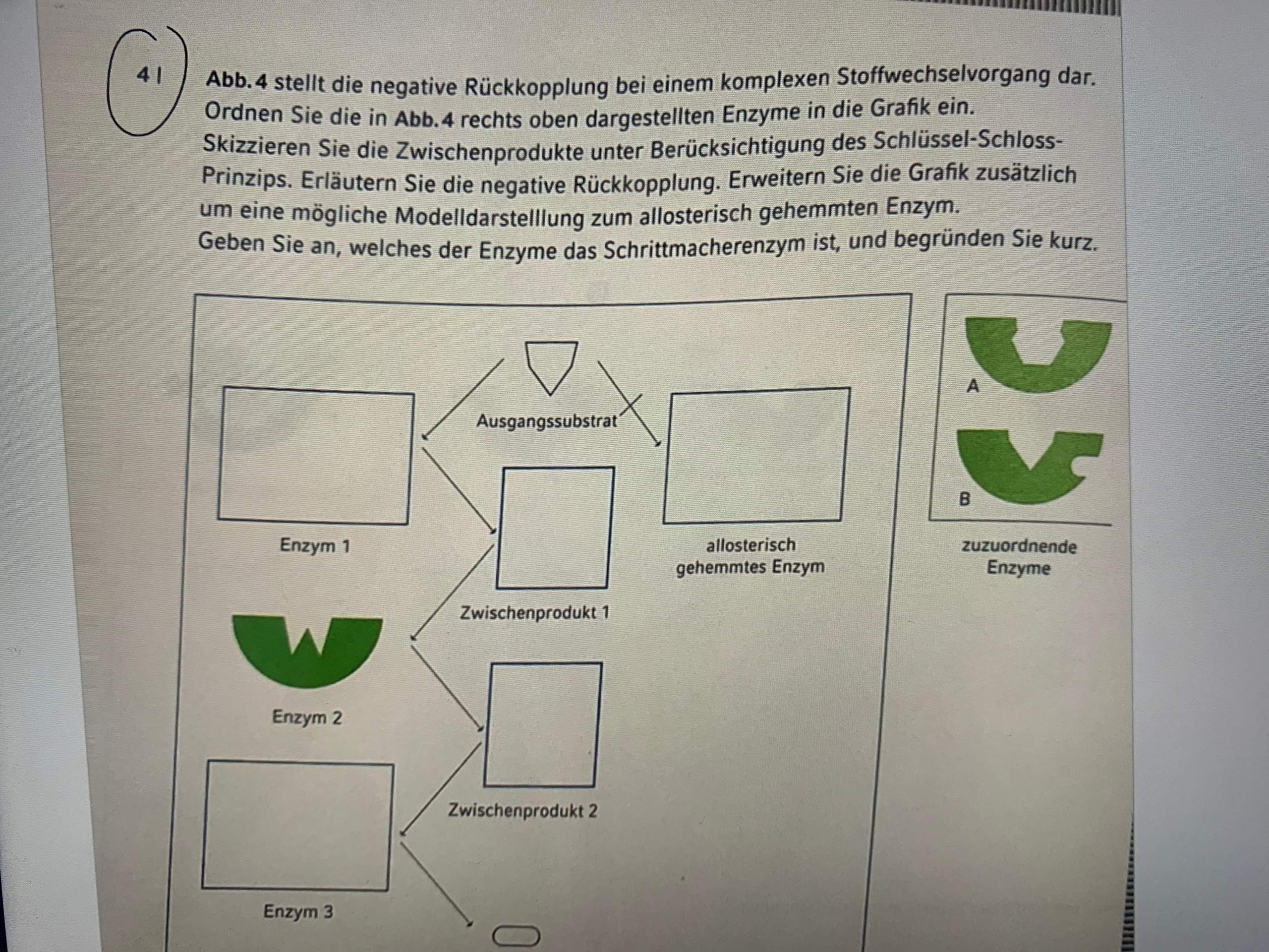 Negative Rückkopplung? (Schule, Biologie, Pflanzen)