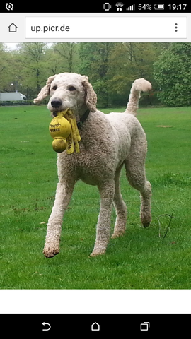 Welcher instagram name passt zu mir Welcher instagram name passt zu mir