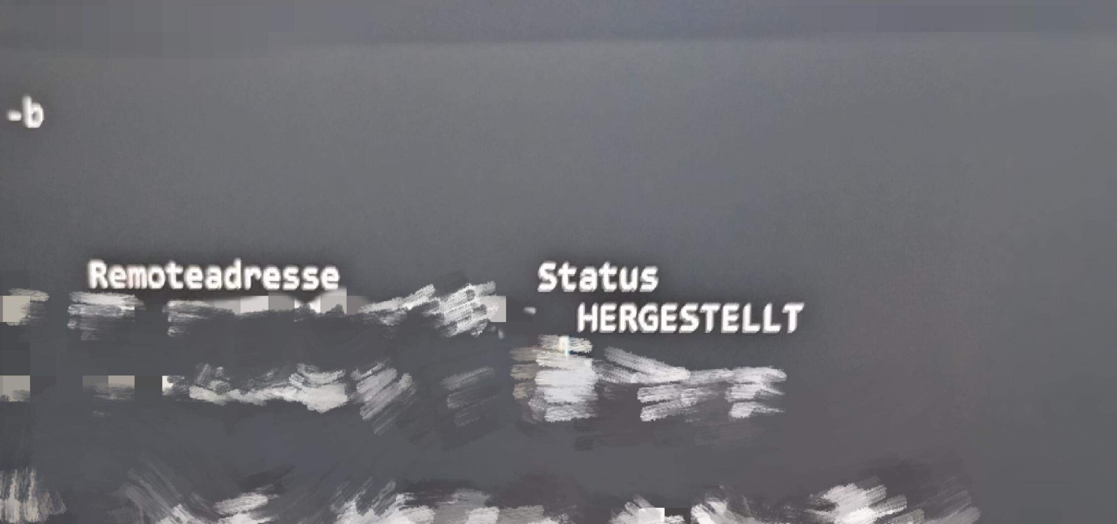 Netstat Remote Verbindung hergestellt ? (Computer, PC, cmd)