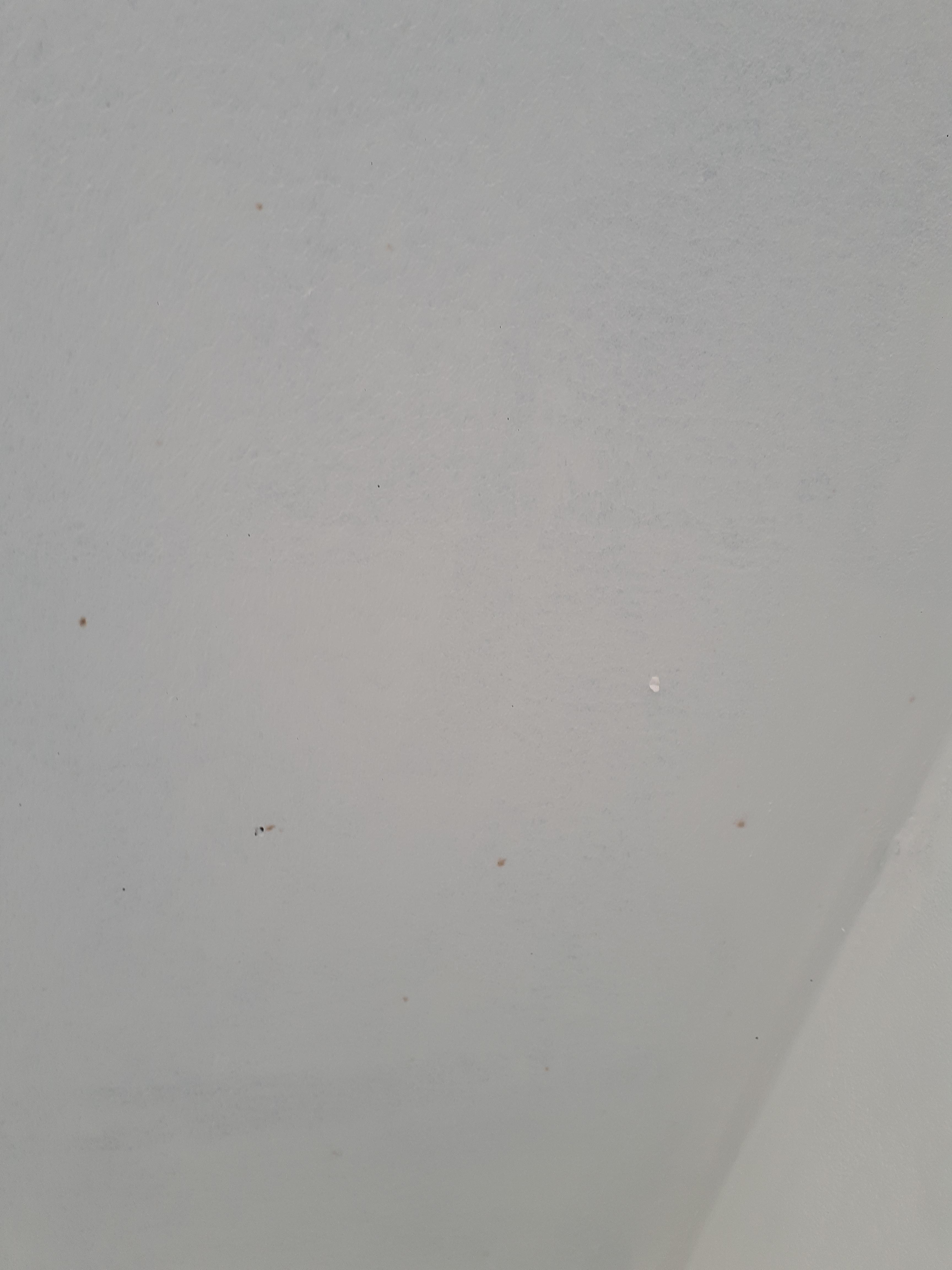 Neubau Decke streichen, Flecken was ist das? (Malerei, Malerarbeiten)