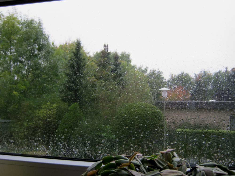 Neue Fenster und nach jedem Regen weitere Flecken, die